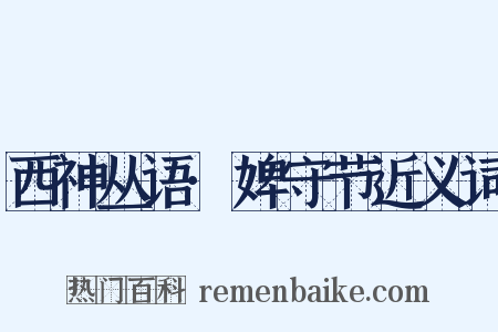 西神丛语·婢守节近义词是什么意思的图片